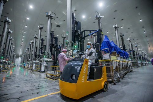 三年產(chǎn)值增長10倍 中國綠色硅谷強勢崛起丨新型工業(yè)化市州行樂山